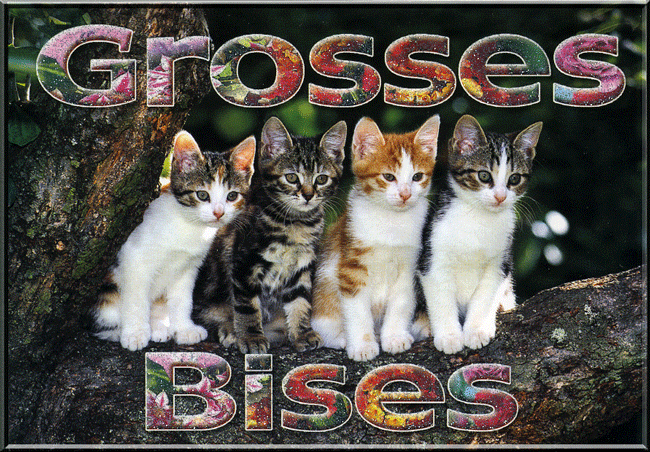 carte postale grosses bises avec des chatons