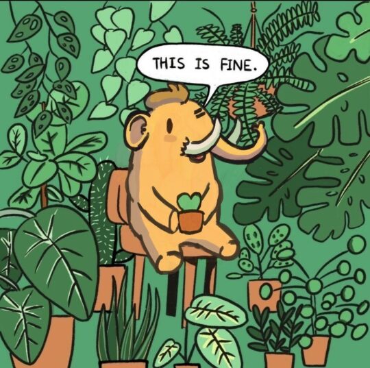 this is fine, mais avec un éléphant entouré de plantes